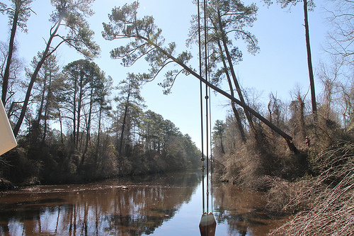 Dismal Swamp Canal continues 85-year revival